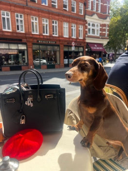 Gold pave dachshund bag charm gift for doxie lover